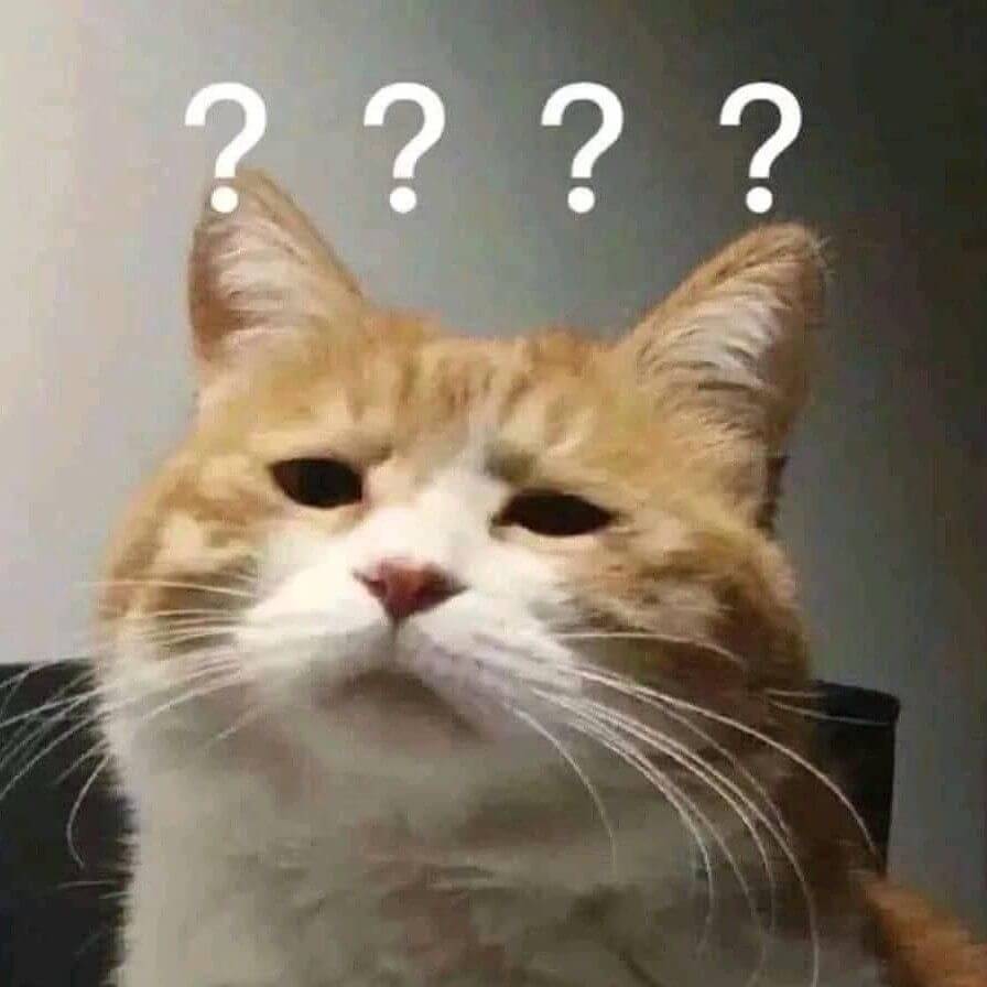 Ảnh meme mèo bất ngờ kiểu “ủa alo, cái gì vậy trời, nói lại lần nữa đi”.