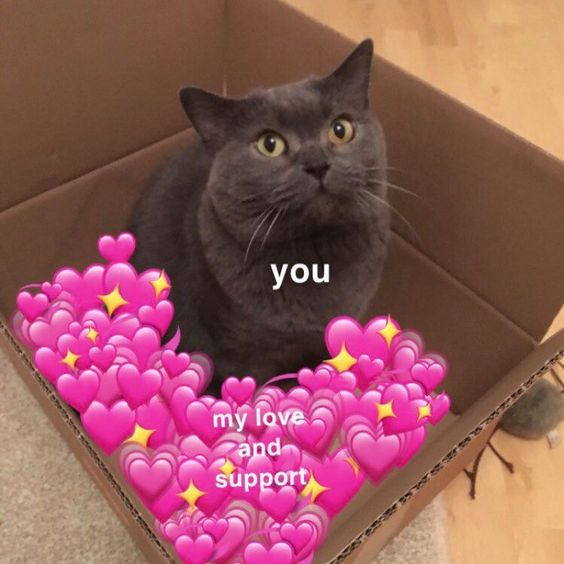 Hình mèo ngáp dài với gương mặt ngơ ngác, vừa tỉnh ngủ trông cực yêu.