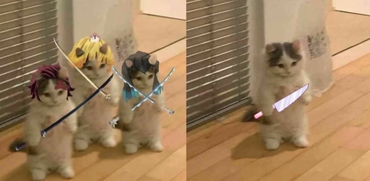Hình meme mèo cầm dao ngồi lặng lẽ đầy đe dọa