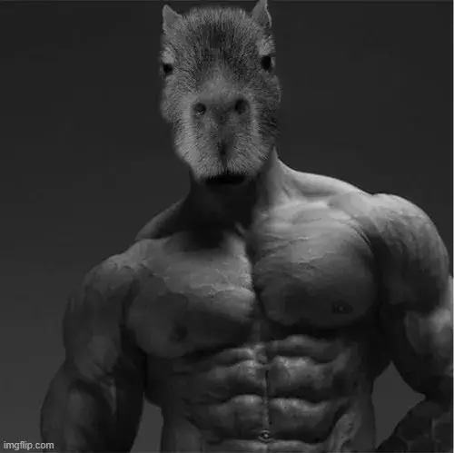 Ảnh meme capybara: Loạt biểu cảm lầy lội viral mạng xã hội