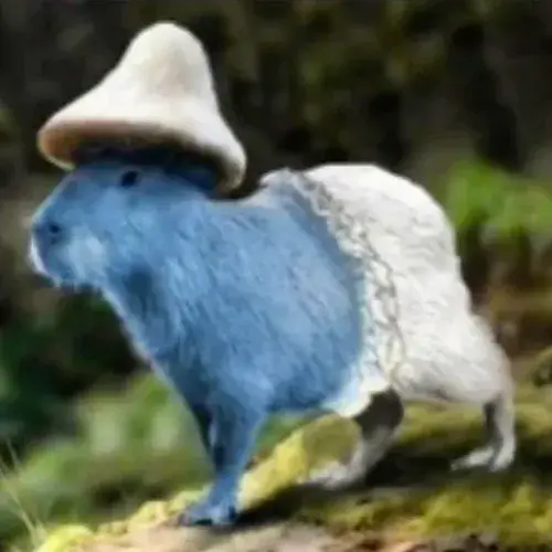 Ảnh meme cận mặt Capybara rưng rưng như sắp khóc.