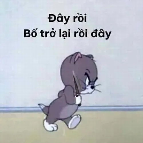 Meme mèo cầm dao và vibe giang hồ khi bạn muốn cảnh cáo ai đó