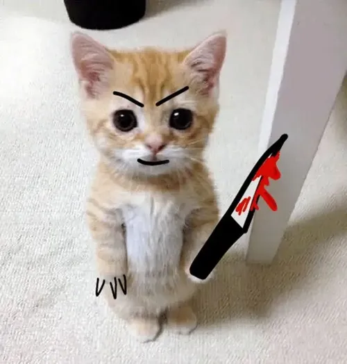 Meme hài mèo giang hồ đe dọa gợi ánh mắt sắc lẹm