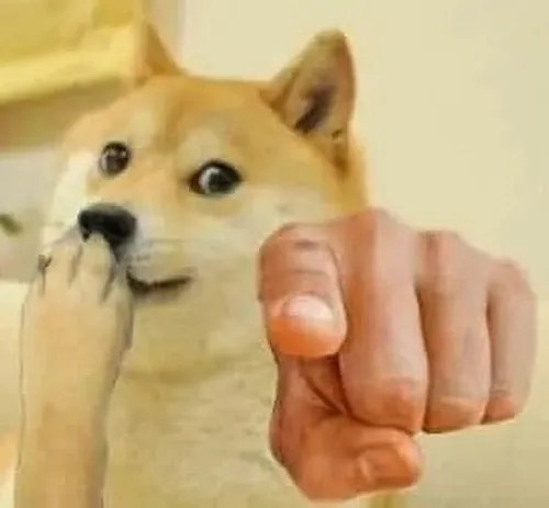 Khoảnh khắc gây cười mạnh khi ánh nhìn chó đổ vạ người xem