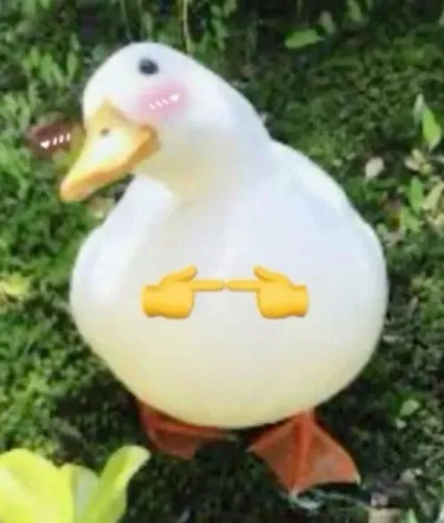 Bộ meme vịt con ngại ngùng dễ thương dùng khi lỡ gây chú ý quá mức