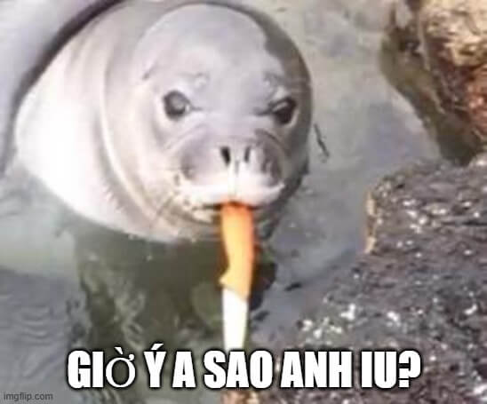 Giờ ý anh sao anh iu?