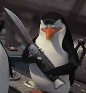 Meme chim cánh cụt cầm dao trong tư thế vừa bước ra từ... phòng bếp