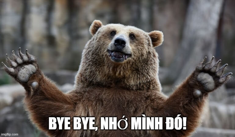 Một tấm meme chú gấu chào tạm biệt siêu "lầy", đúng chất Gen Z không thể bỏ qua.