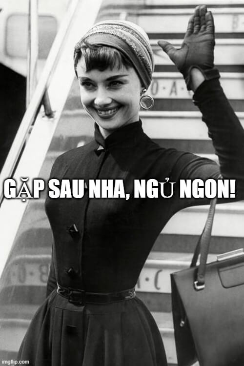 Hình meme đáng yêu giúp bạn gửi lời chào tạm biệt mà vẫn giữ nụ cười.