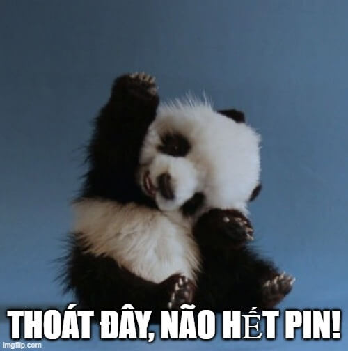 Tạm biệt với style "mặn mà" cùng ảnh meme cực lầy nhưng đầy cảm xúc của gấu trúc dễ thương