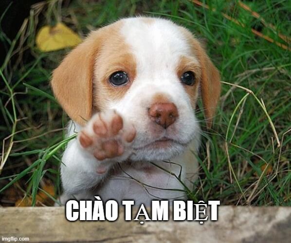 Một khoảnh khắc chia tay đầy cảm xúc được gói gọn trong chiếc meme chú chó đáng yêu này.