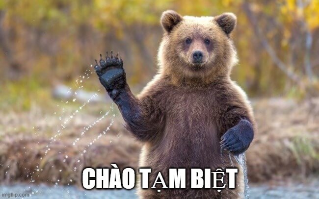 Chia tay nhẹ nhàng với ảnh meme gấu tạm biệt cực kỳ dễ thương và gần gũi.