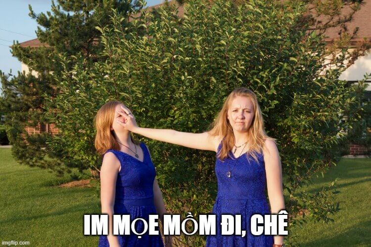 Meme chê bá đạo: Khi bạn không thể im lặng