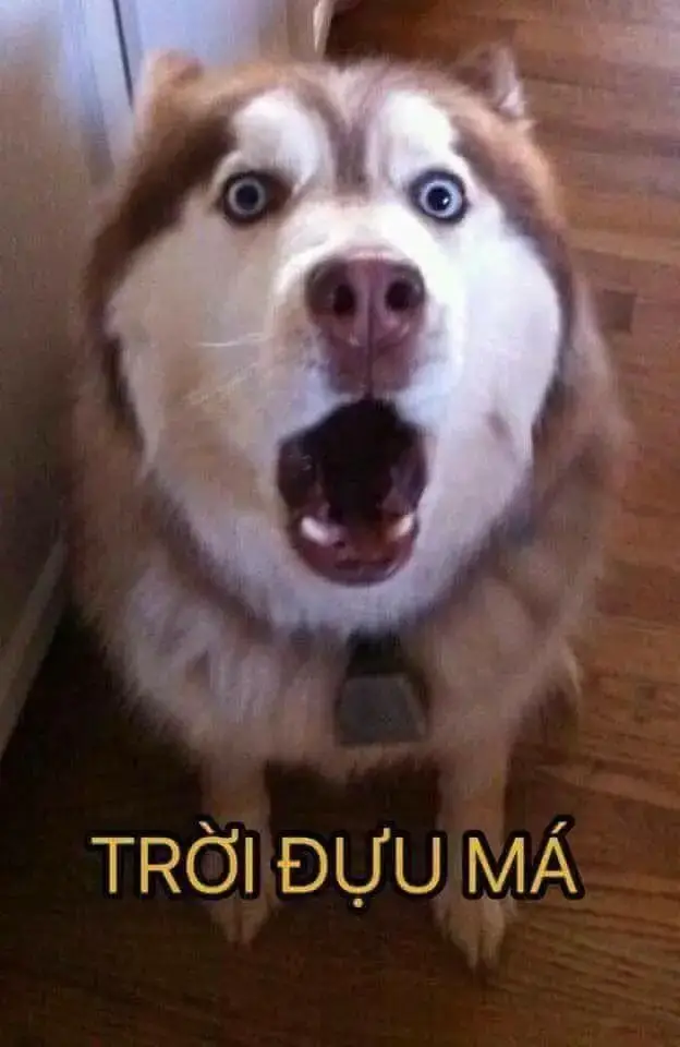 Gương mặt bất ngờ như đang nghe lệnh cấm chạy trong nhà.