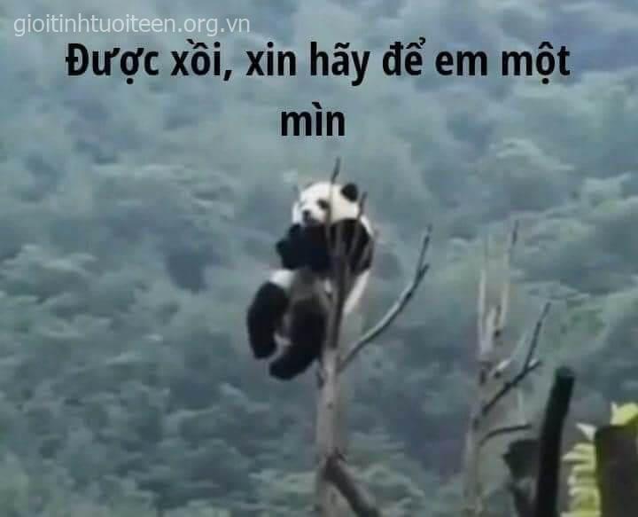 Được rồi, xin hãy để em một mình