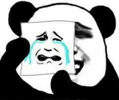 Gấu trúc thất tình nhưng vẫn ăn