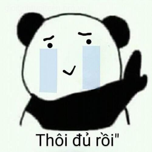 Khóc như gấu trúc nhưng vẫn mập: Thôi đủ rồi