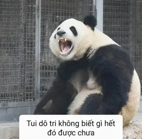 Lúc cảm xúc méo mó vì áp lực thì meme khóc tạo điểm tựa chia sẻ nhanh