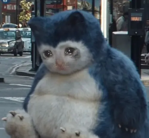 Meme mèo trắng rơm rớm chạm cảm giác cô độc