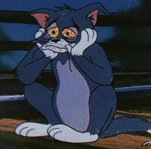 Ảnh vui mèo nhỏ xen chút hụt hẫng qua bầu không khí