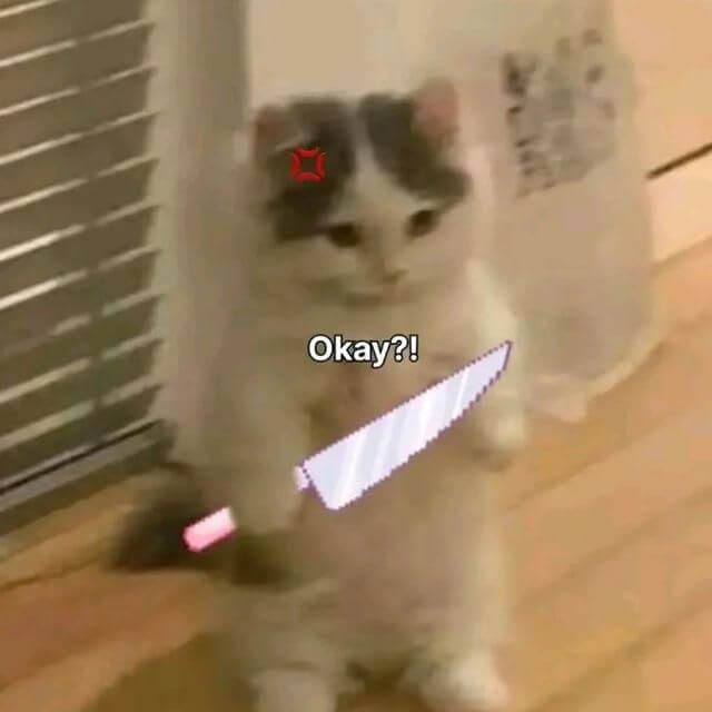Hình meme mèo con cầm dao đầy biểu cảm hờn dỗi