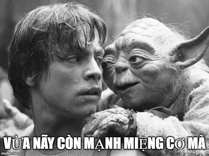 Một chiếc ảnh – trăm lời troll không cần đánh vần.