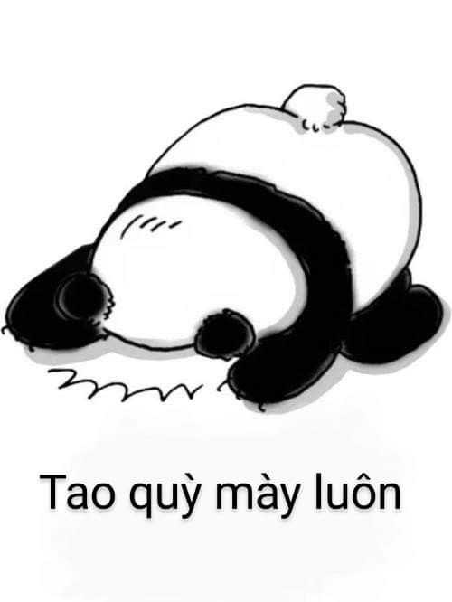 Tao quỳ mày luôn nè 