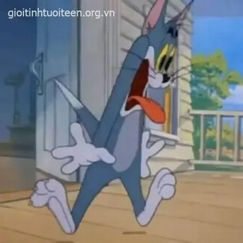 Ảnh meme vui nét mặt hoảng loạn trước tình huống nguy hiểm