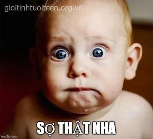 Ảnh meme vui phản ứng hoảng loạn hơi thở hụt