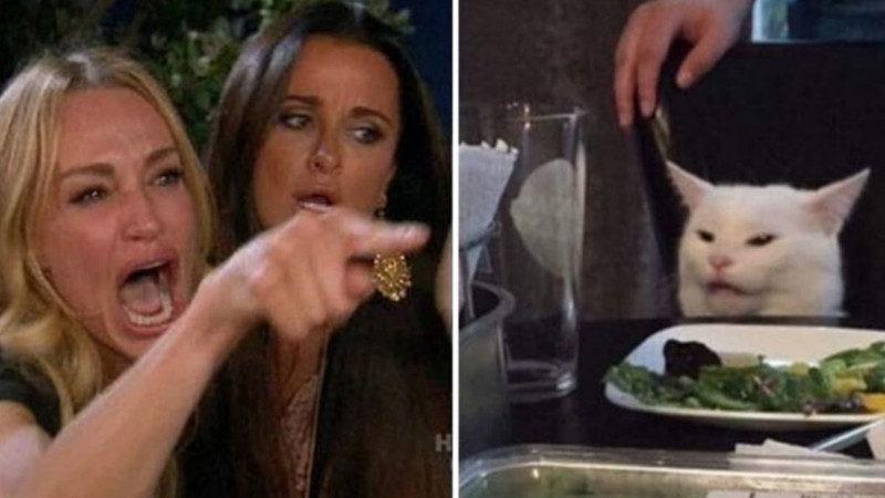 Hình mèo lầy, mắt trợn tròn như vừa phát hiện ra chuyện khủng khiếp.