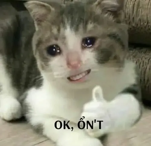 Meme chế mèo Munchkin tái hiện chồm người nhẹ gửi tín hiệu duyệt