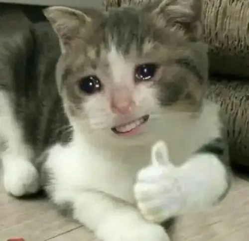 Meme hài lông mềm oke thể hiện nhạy tiếng động nhưng vẫn rất dễ thương