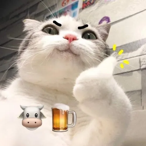 Hình troll mèo tán thành mô tả đuôi lắc nhẹ tạo cảm giác dễ chịu