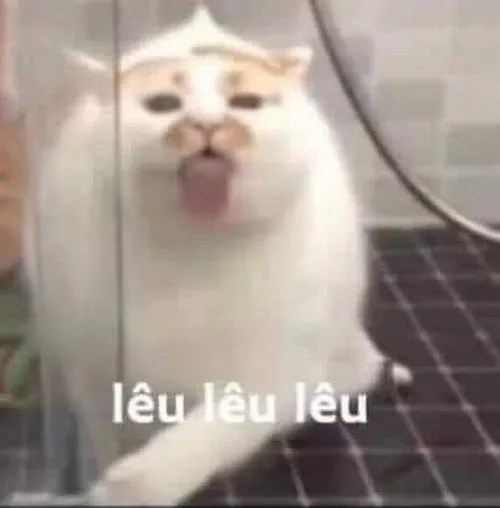 Ảnh troll mèo đuôi mèo ve vẩy tạo nét dễ thương bất ngờ