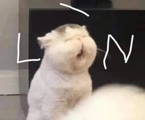 Hình troll mèo gào nhẹ thể hiện tính cách nhây khiến ai cũng bật cười