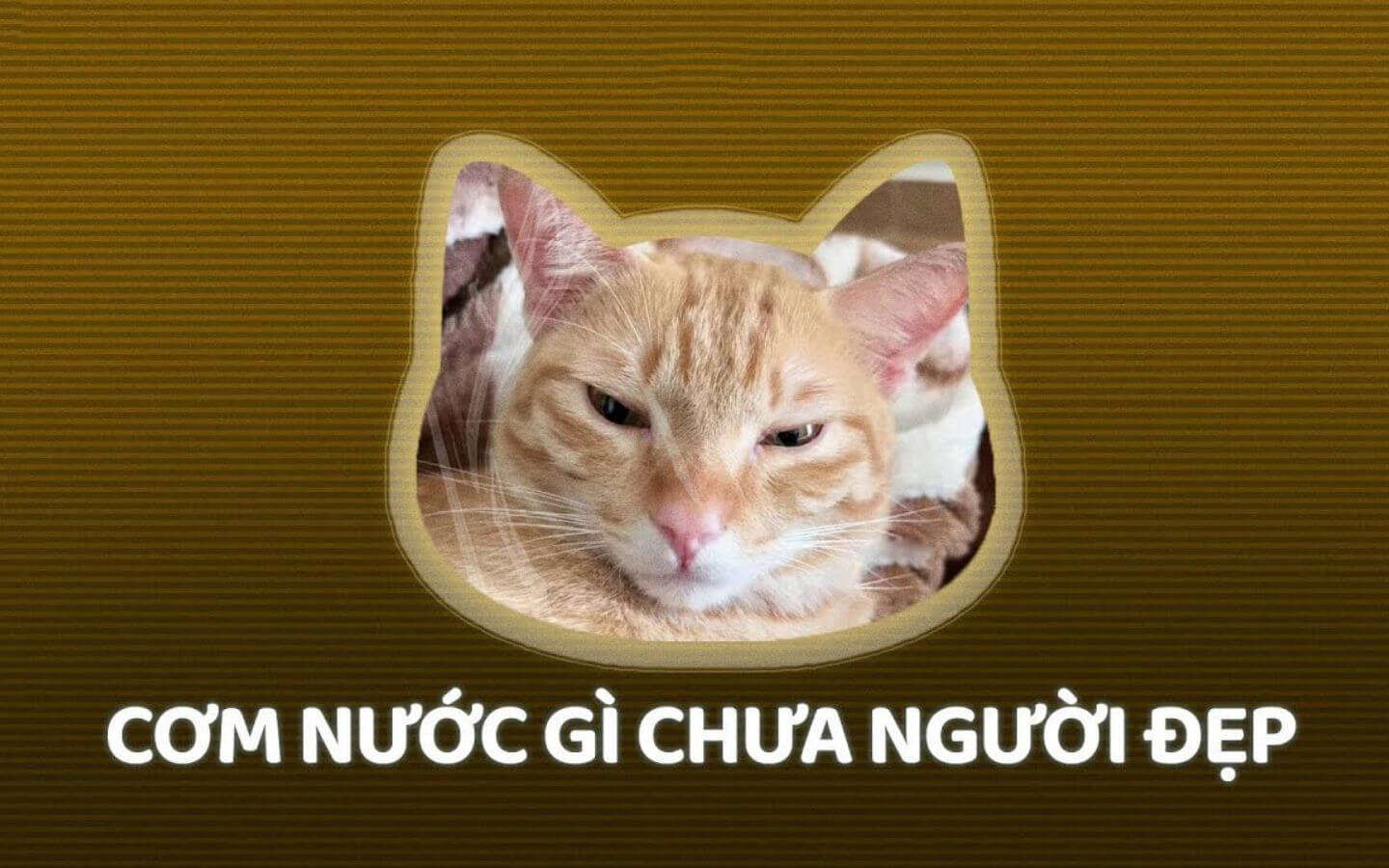 "Cơm nước gì chưa người đẹp?" là gì? Câu chào đỉnh cao của TikTok hiện nay "Cơm nước gì chưa người đẹp?" là gì? Câu chào đỉnh cao của TikTok hiện nay