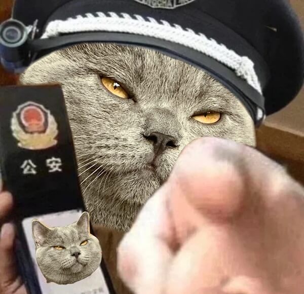 Khi công an giao thông xuất hiện và netizen biến thành meme tấu hài