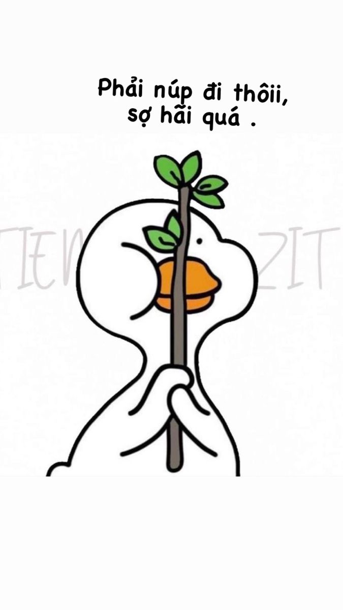 Phải núp đi thôi, sợ hãi quá