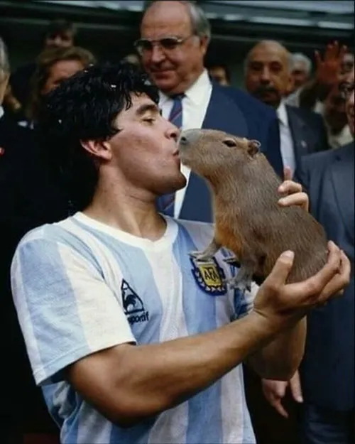 Ảnh meme giữa sân Capybara ngồi cạnh tấm bảng “hết tiền”.