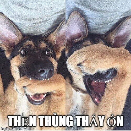 Tránh nhìn camera như thể “tui ngại lắm”