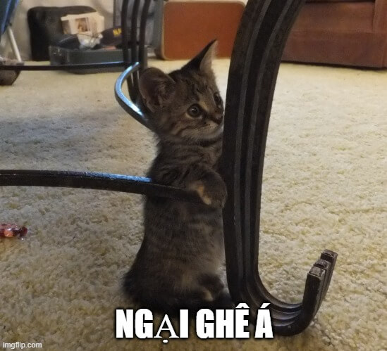 Thẹn thùng nhưng không quên pose dáng