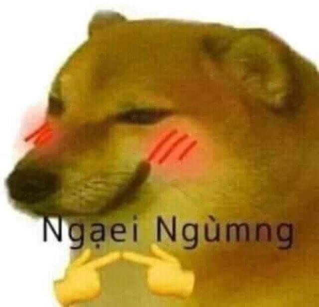 Che mặt nhẹ như bảo: “đừng nhìn tui nữa”