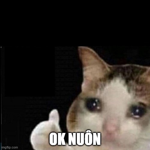 Chú mèo mắt long lanh: Ok cute liền nha