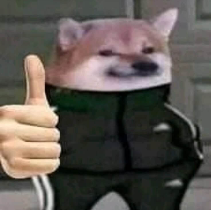 Chú chó: Duyệt, phê duyệt, auto duyệt!