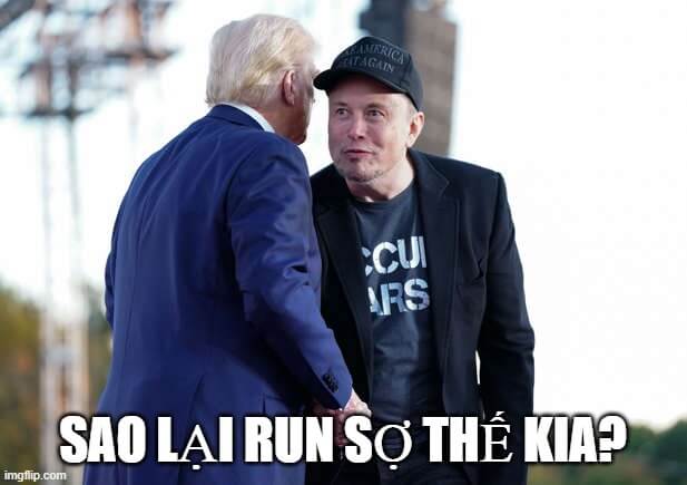 Sao lại run sợ thế kia? Trump troll bác Elon Musk