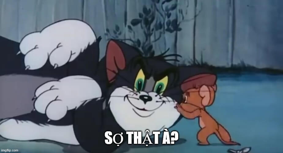 Tôi sợ từ trong bụng mẹ cơ, đừng hỏi nữa.