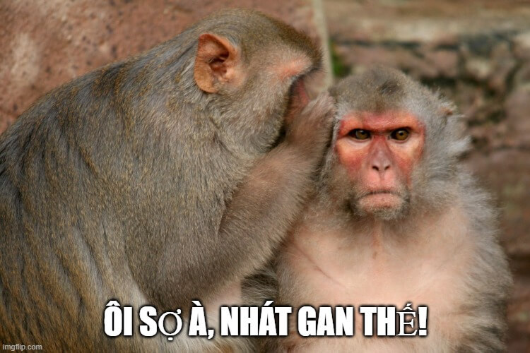 Mới nghe tiếng động thôi mà tim muốn rớt ra.