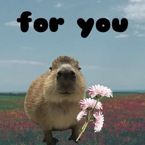 Ảnh meme mặt lạnh capibara hé mắt kiểu xem thường.