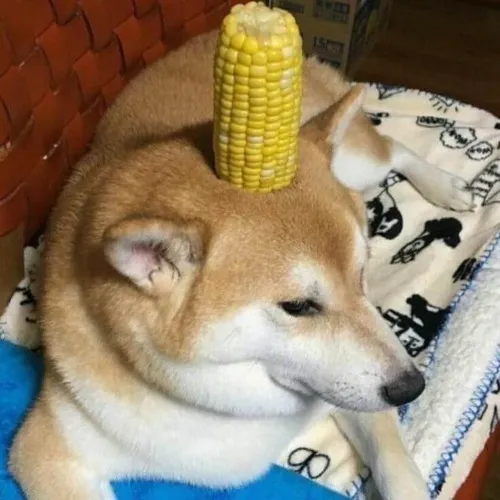 Cười nham hiểm với đôi mắt nheo lại