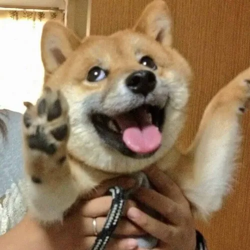 Thở dài dài rồi quay mặt ra xa